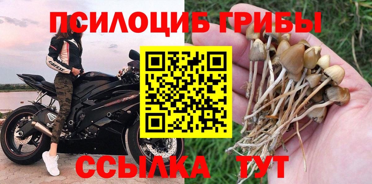 Галлюциногенные грибы мухоморы Санкт-Петербург