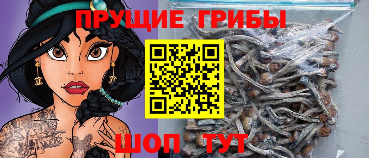 Бошки Шишки  Вход с VPN  Санкт-Петербург  Кетамин  ГЕРОИН  Гашиш  A PVP СОЛЬ кристаллы  COCAIN  Мефедрон кристаллы 