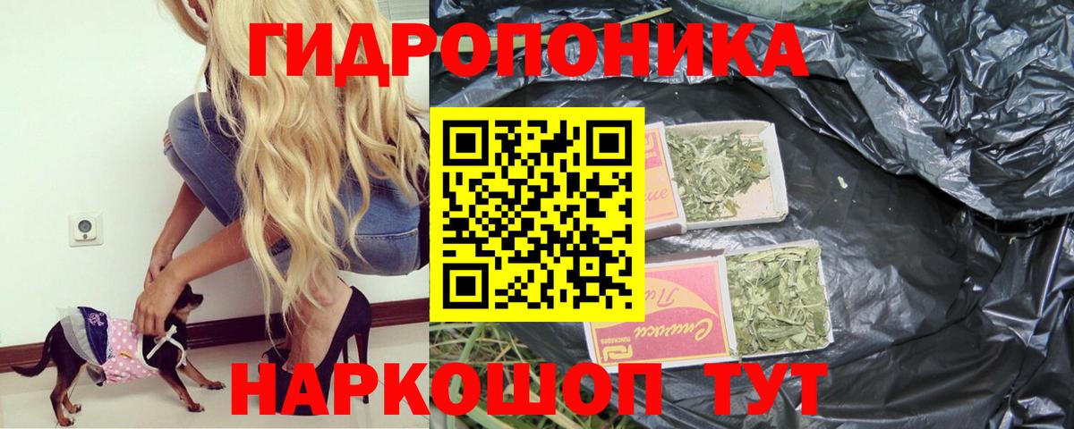 Бошки Шишки OG Kush Санкт-Петербург